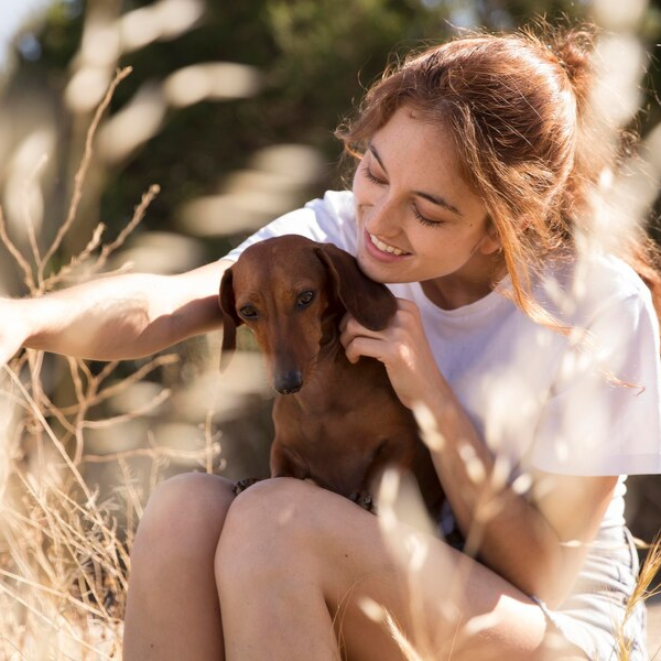 Animaux de compagnie