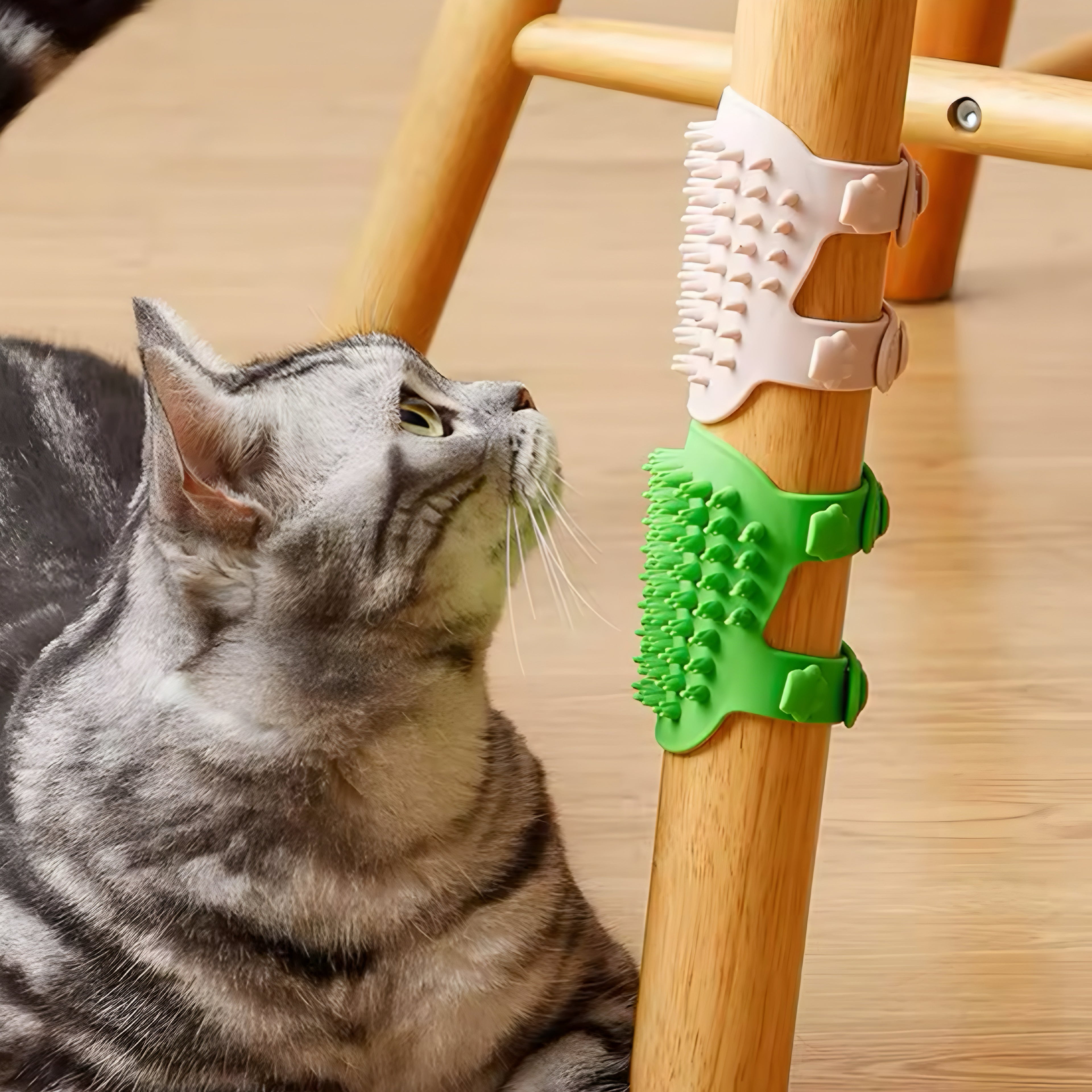 Brosse de Massage en Silicone pour Chats 🐾💆‍♀️