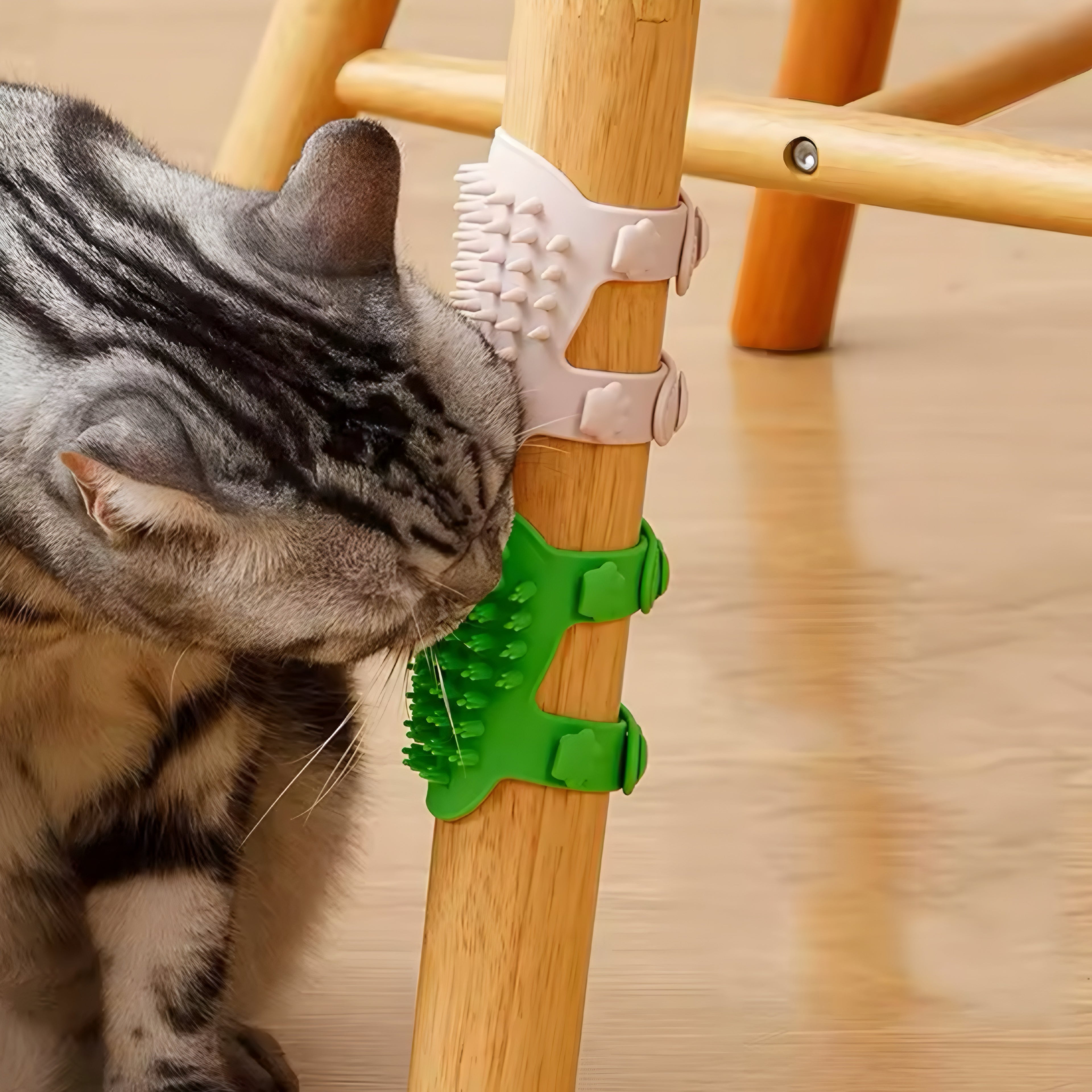 Brosse de Massage en Silicone pour Chats 🐾💆‍♀️